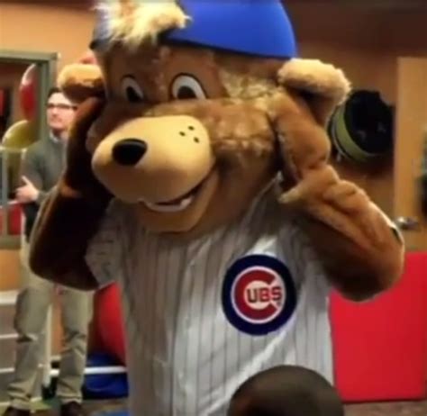The Cubs Mascot's Penis: A Popular Icon in Sports
